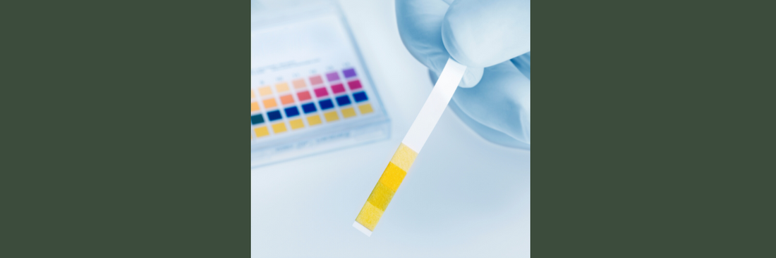 Behandschuhte Hand mit pH-Teststäbchen vor Farbskala
