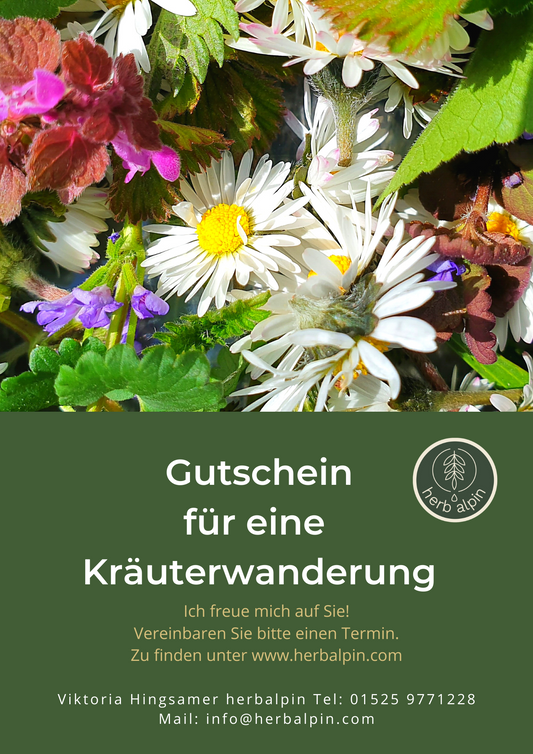 Gutschein Kräuterwanderung